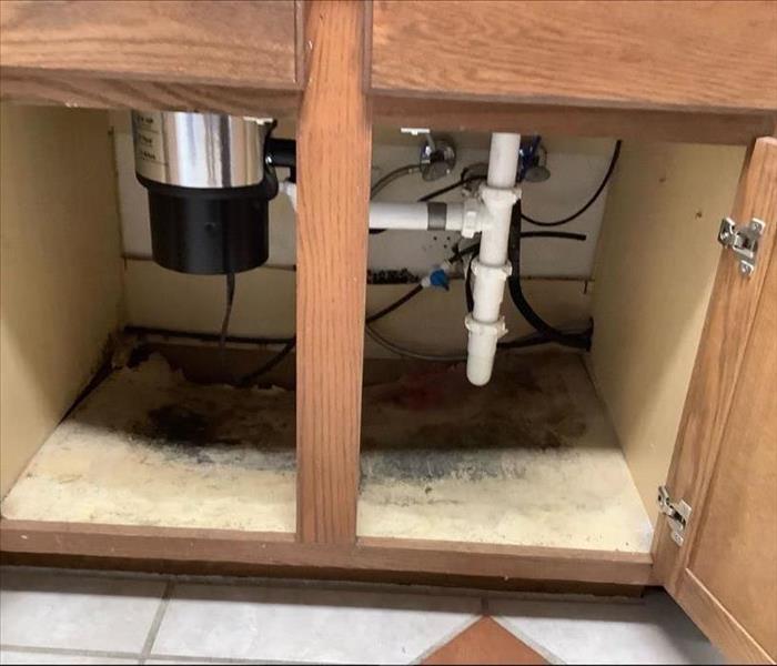 Mold under a kitchen sink