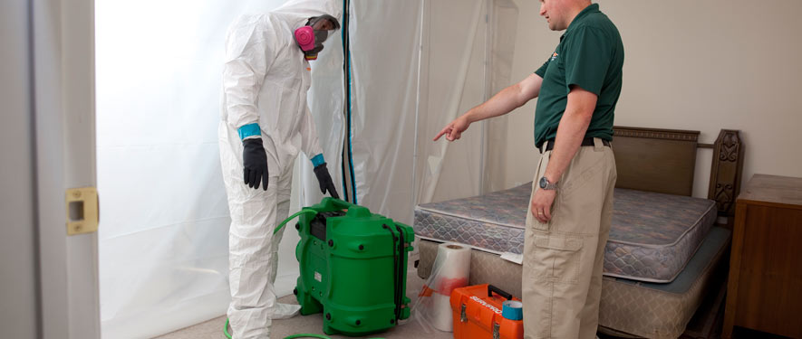 Albuquerque, NM mold removal process